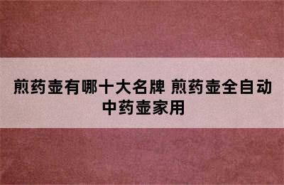 煎药壶有哪十大名牌 煎药壶全自动中药壶家用